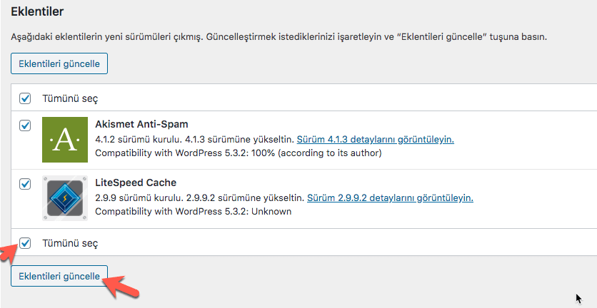 Wordpress eklentileri güncelle