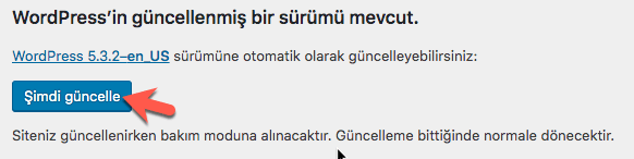 wordpress güncelleme butonu